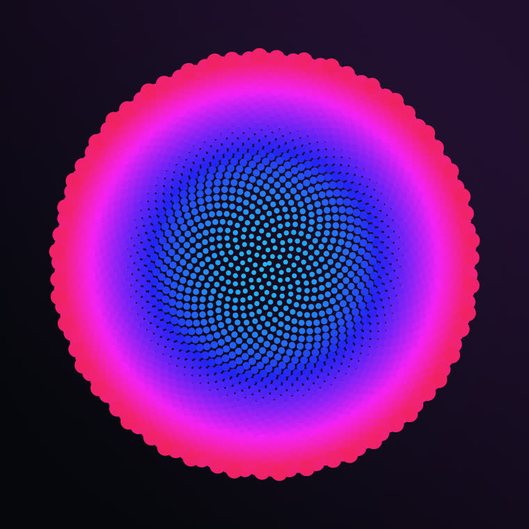 Phyllotaxis still 2