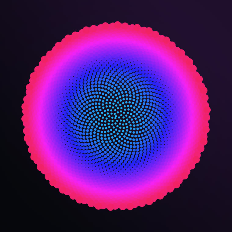 Phyllotaxis still 3