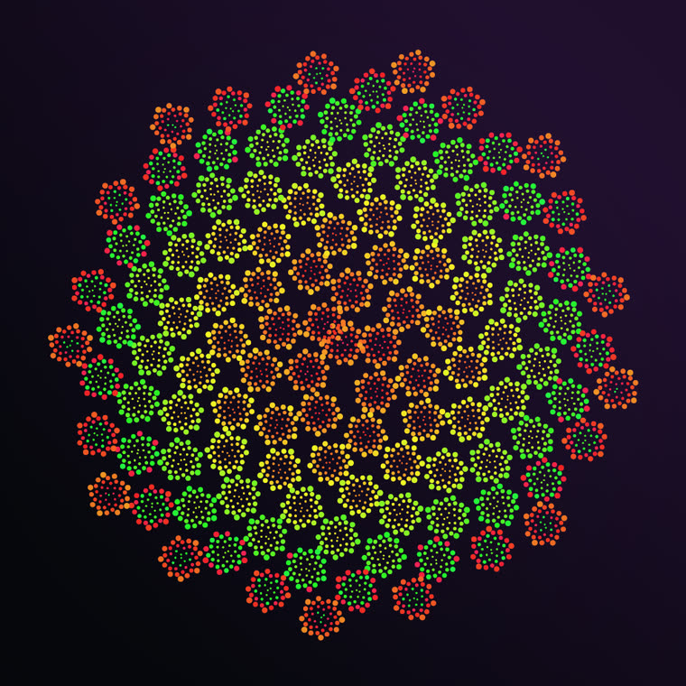 Fractal phyllotaxis still 1
