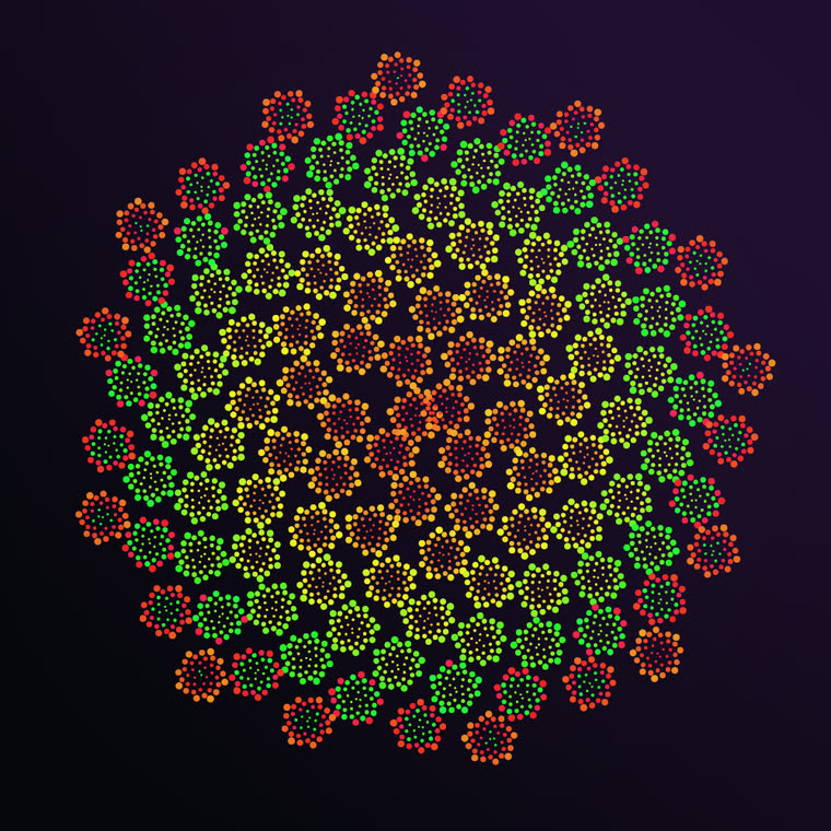 Fractal phyllotaxis still 2