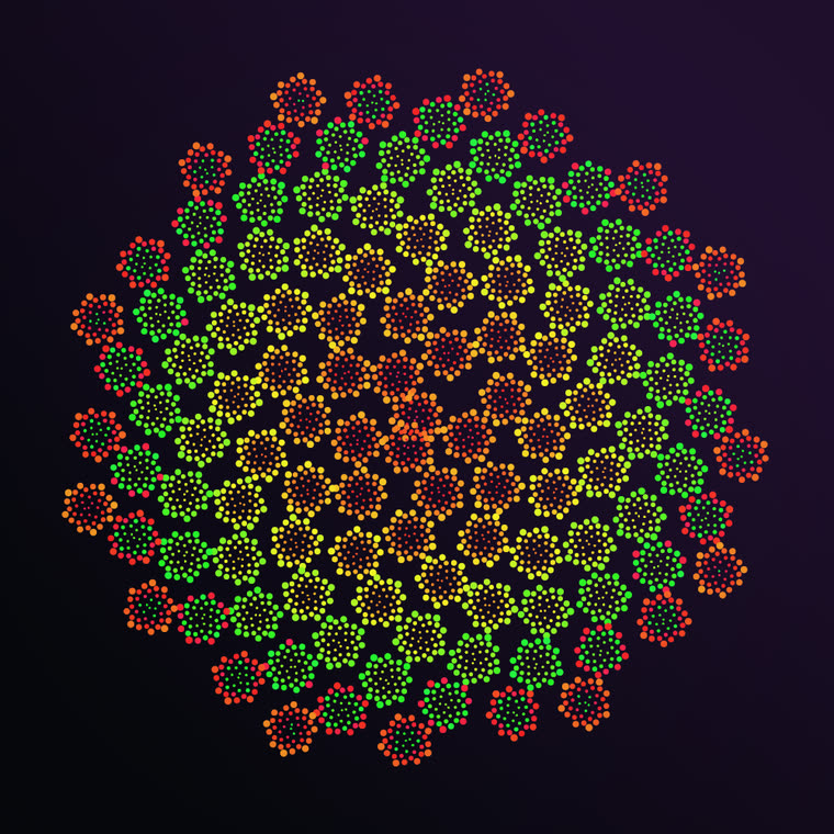 Fractal phyllotaxis still 3
