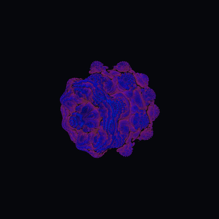 Hybrid (Bulb↔Box) still 2